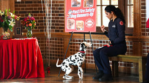 Chicago Fire Twój wybór