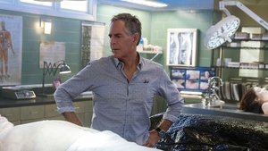 Agenci NCIS: Nowy Orlean Odcinek 13