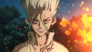 Dr. Stone Kamienny świat