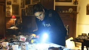 FBI Odcinek 15