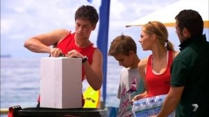 Home and Away Odcinek 96