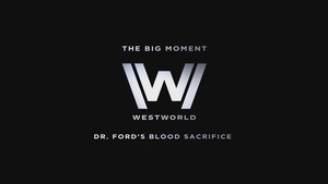 Westworld Odcinek 10