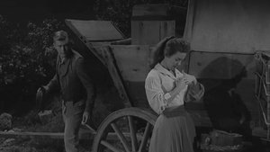 Wagon Train Odcinek 28