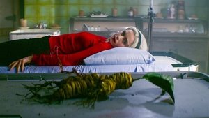 Chilling Adventures of Sabrina Rozdział 19: Mandragora
