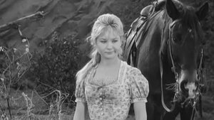 Wagon Train Odcinek 3