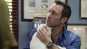 Hawaii 5.0 Odcinek 21