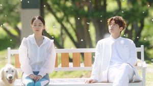 Angel's Last Mission: Love Yeon Seo nie ma przeszczepu rogówki