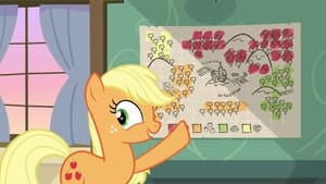 My Little Pony: Przyjaźń to magia Tajemnica zbiorów