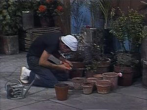 El Chavo del Ocho Odcinek 9