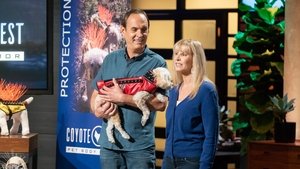 Shark Tank Odcinek 23