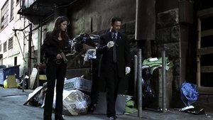 CSI: Kryminalne zagadki Nowego Jorku Odcinek 2