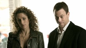 CSI: Kryminalne zagadki Nowego Jorku Odcinek 10