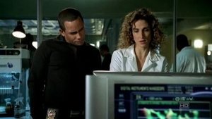 CSI: Kryminalne zagadki Nowego Jorku Odcinek 10