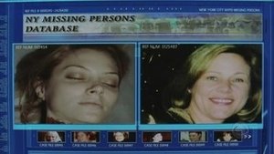 CSI: Kryminalne zagadki Nowego Jorku Odcinek 19