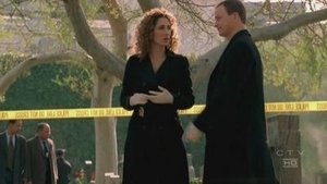 CSI: Kryminalne zagadki Nowego Jorku Odcinek 15