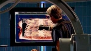 CSI: Kryminalne zagadki Nowego Jorku Odcinek 8
