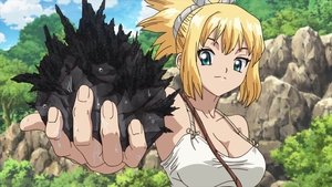 Dr. Stone Droga kamienia