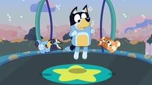 Blue Trampolina