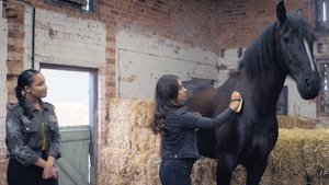 Free Rein Odcinek 3