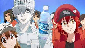 Hataraku Saibou Odcinek 7