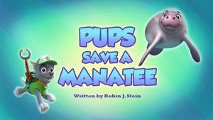 Psi Patrol Pieski ratują manata