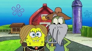SpongeBob Kanciastoporty Odcinek 48