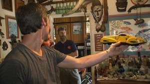 American Pickers Odcinek 25