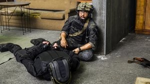 SEAL Team Theory and Methodology