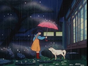 Ranma ½ Odcinek 158