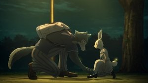 BEASTARS Dwa punkty widzenia