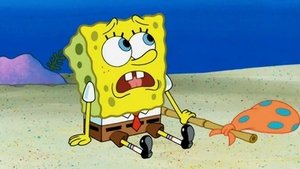 SpongeBob Kanciastoporty Gdzie się podział SpongeBob?