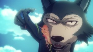 BEASTARS Pod futrem