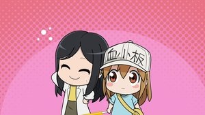 Hataraku Saibou Odcinek 6