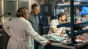 Agenci NCIS: Nowy Orlean Odcinek 5
