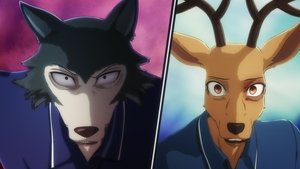 BEASTARS Do jaskini lwa
