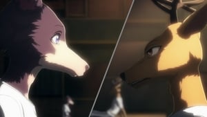 BEASTARS Utknąć jak nitka w psich zębach