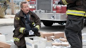 Chicago Fire Nasz teren