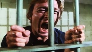 Knots Landing Odcinek 20