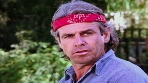 Knots Landing Odcinek 20