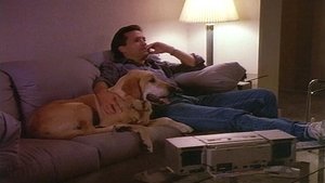 Knots Landing Odcinek 9