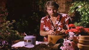Knots Landing Odcinek 3