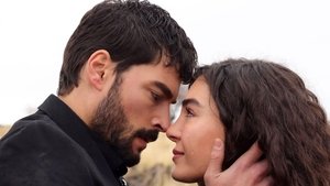 Hercai Odcinek 13