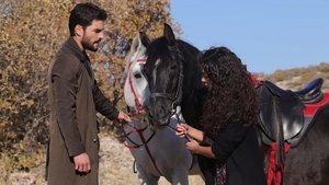 Hercai Odcinek 10