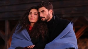 Hercai Odcinek 14