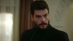 Hercai Odcinek 19