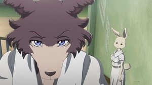 BEASTARS Po burzy