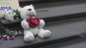 Prawo i porządek: Sekcja specjalna Odcinek 11