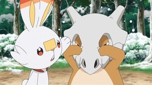 Pokémon Poszukiwania w śnieżny dzień!