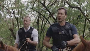 Hawaii 5.0 Odcinek 19