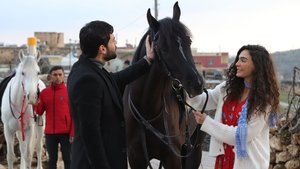 Hercai Odcinek 25